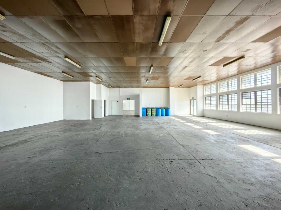 To Let commercial Property for Rent in University Estate Western Cape